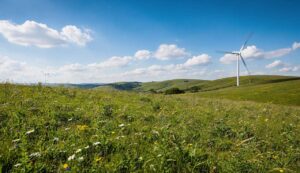 Wist je dit? Voordat je maait: ken je het nieuwe verbod dat sinds 2026 geldt?